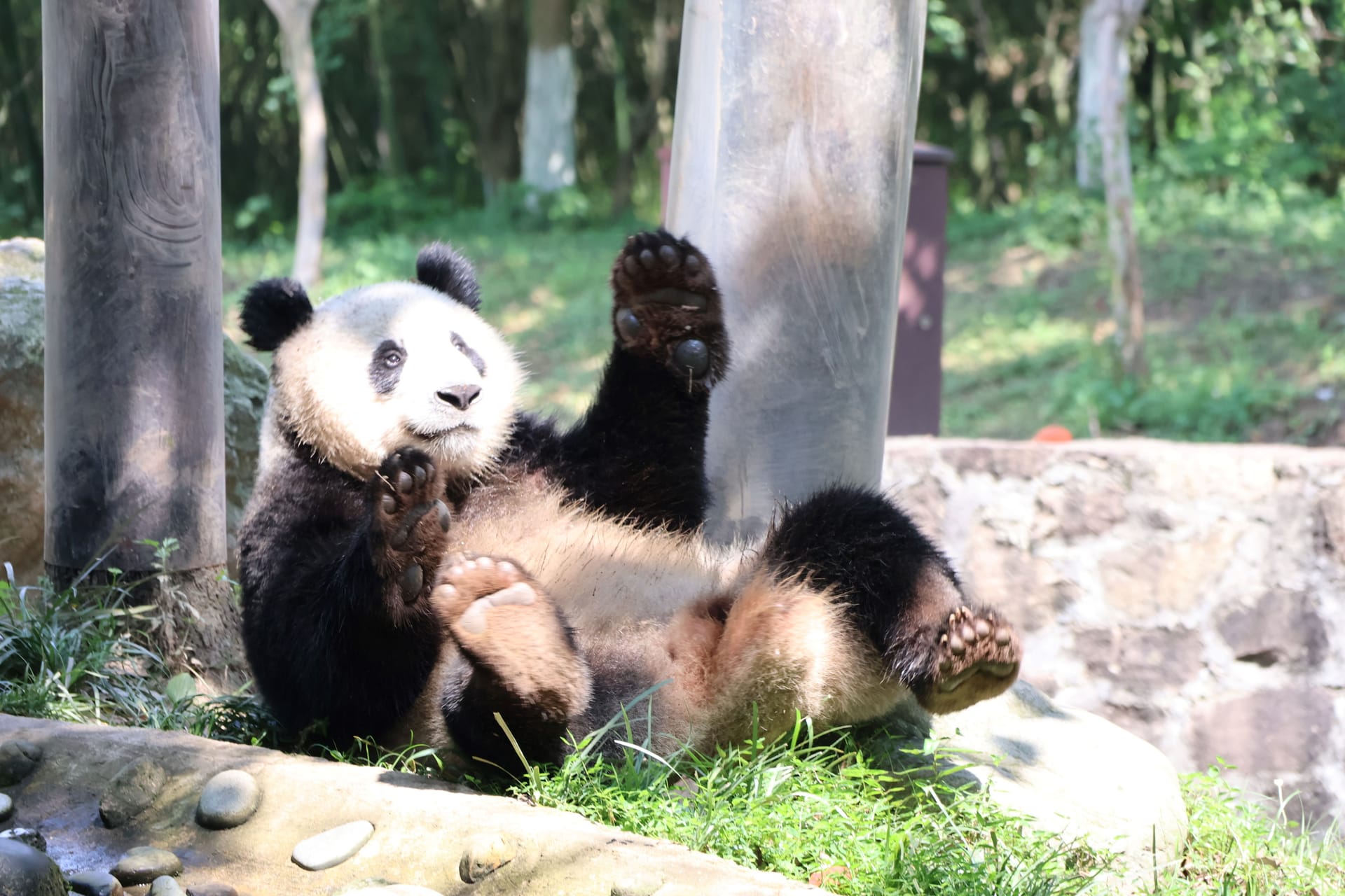 SICHUAN